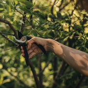 Gartenschere mit Schneidklinge FISKARS Solid P321 M - Ø20mm